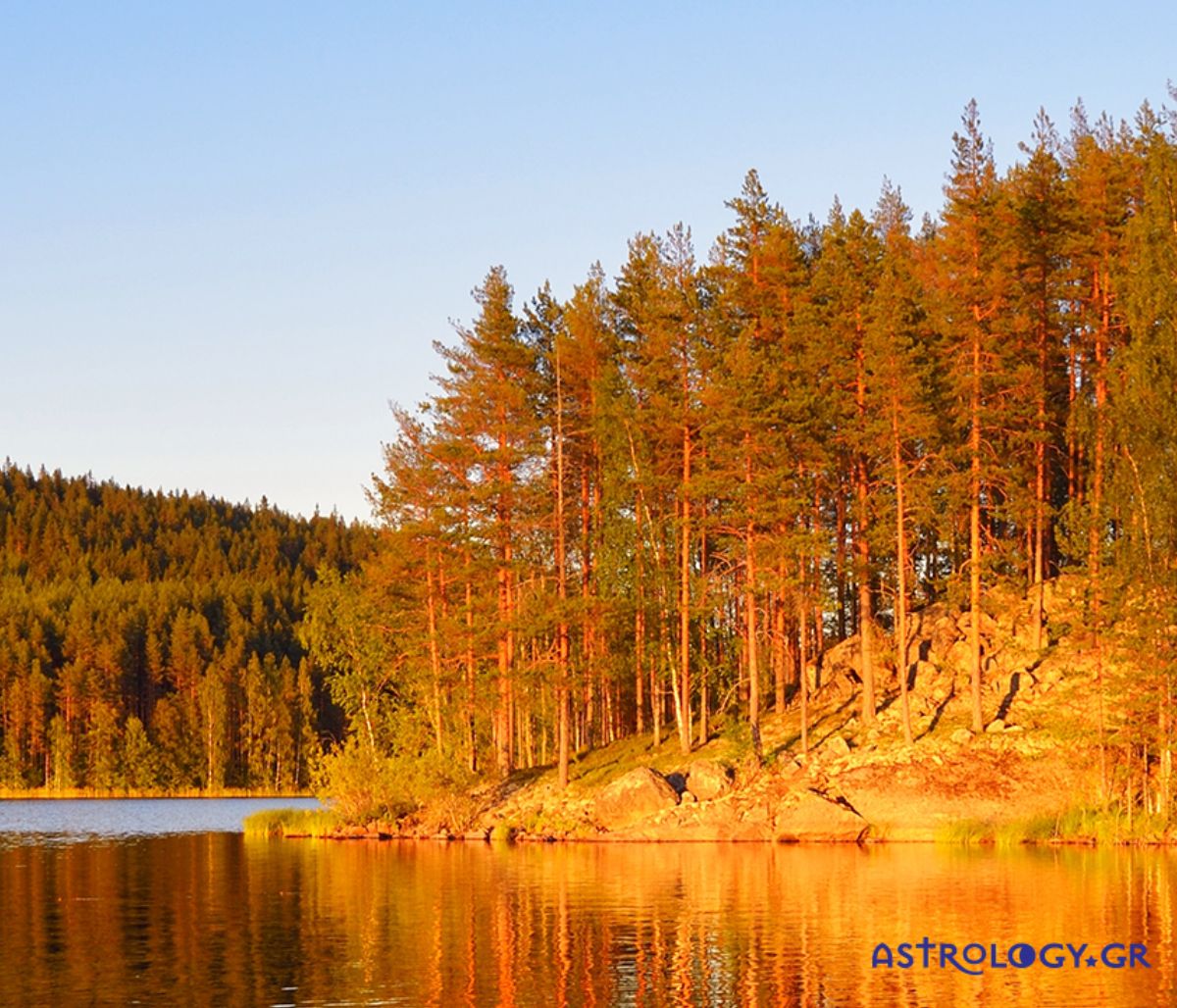 Διάβασε ΔΩΡΕΑΝ την προσωπική σου πρόβλεψη, για σήμερα 24/11/2021