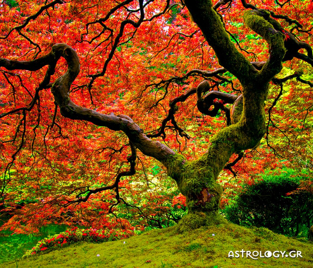 Διάβασε ΔΩΡΕΑΝ την προσωπική σου πρόβλεψη, για σήμερα 28/11/2021