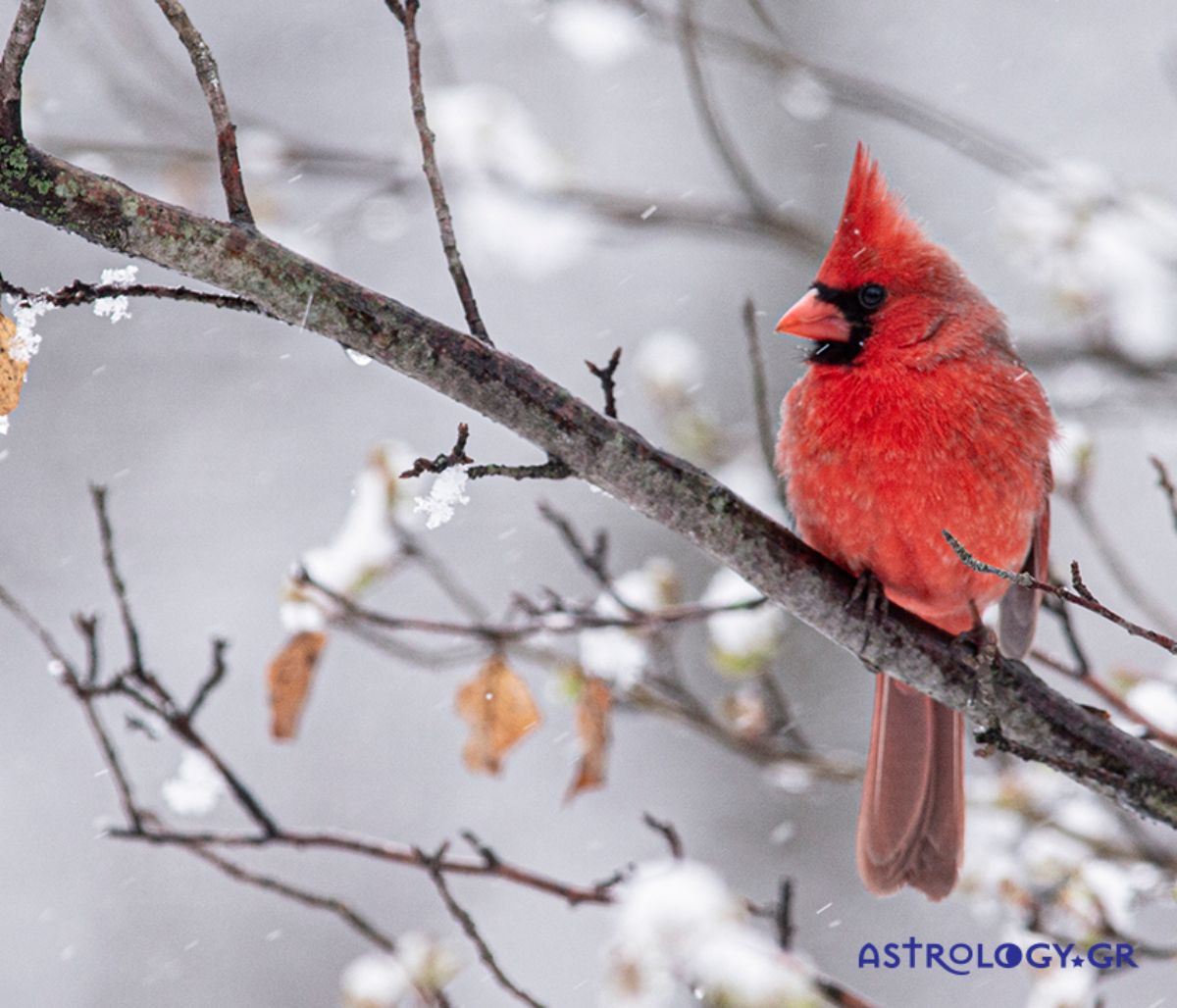 Διάβασε ΔΩΡΕΑΝ την προσωπική σου πρόβλεψη, για σήμερα 04/12/2021