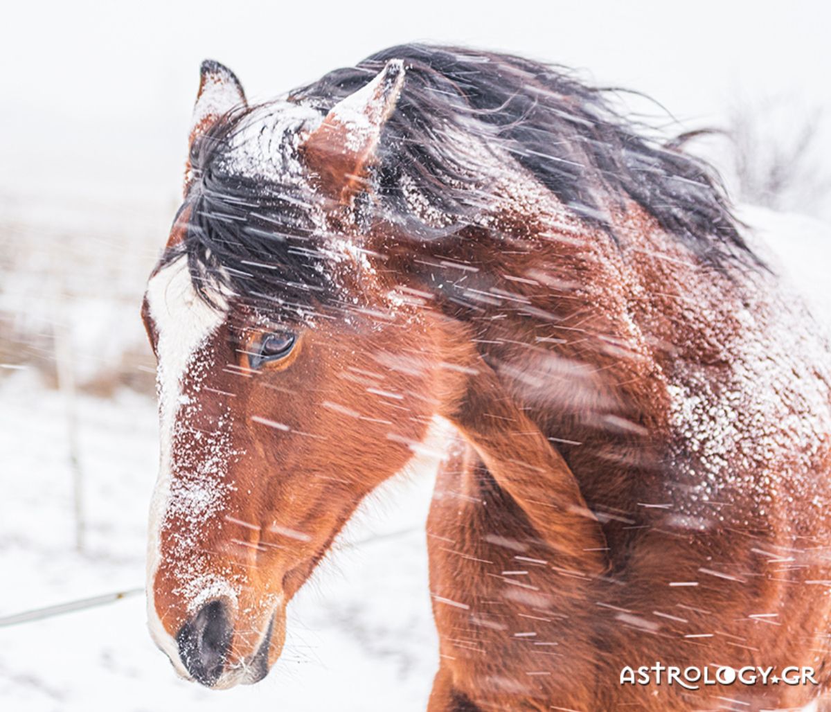 Διάβασε ΔΩΡΕΑΝ την προσωπική σου πρόβλεψη, για σήμερα 10/12/2021
