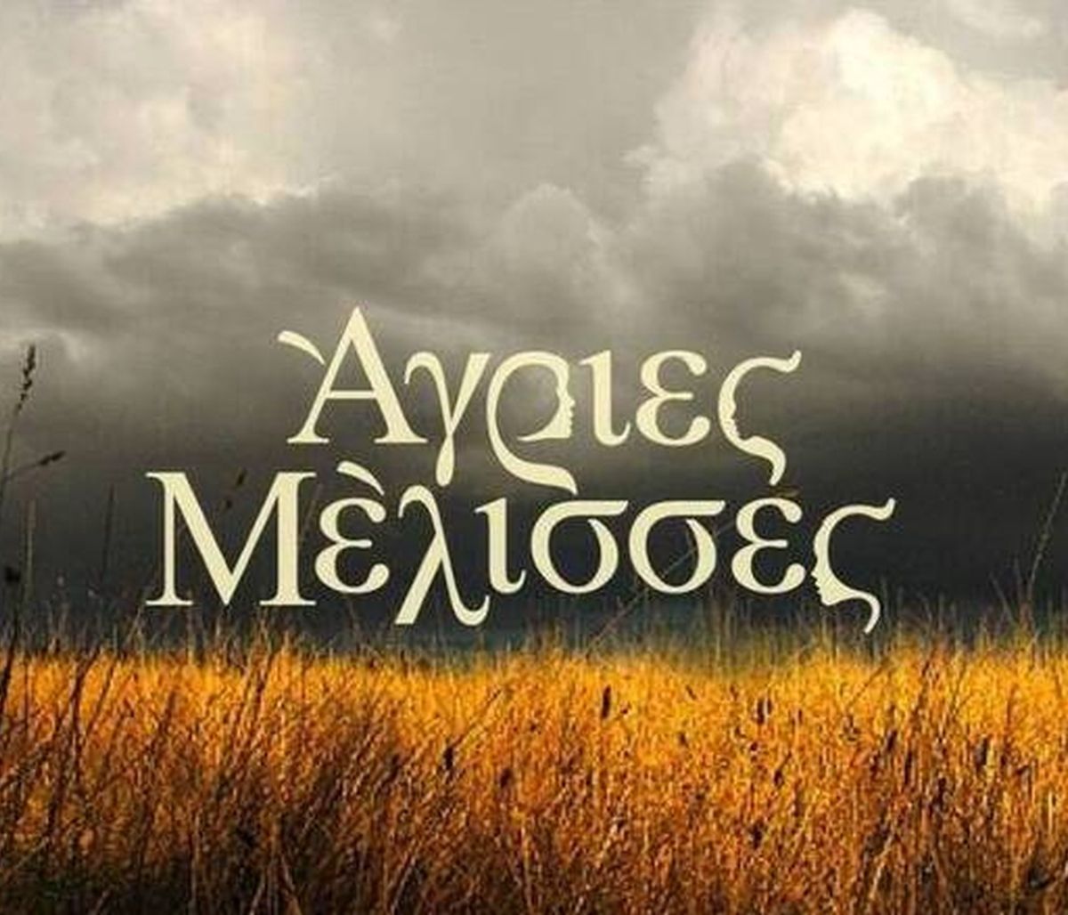 Άγριες Μέλισσες: Δεν πάει ο νους σου ποιος πρωταγωνιστής επιστρέφει! Η ανακοίνωση στο Πρωινό