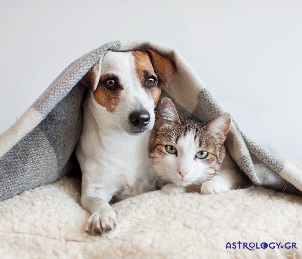 Διάβασε ΔΩΡΕΑΝ την προσωπική σου πρόβλεψη, για σήμερα 11/01/2022