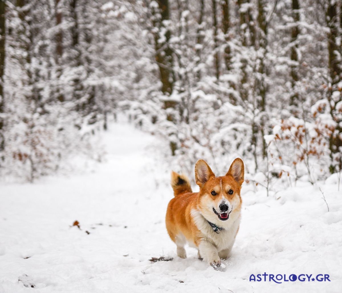Διάβασε ΔΩΡΕΑΝ την προσωπική σου πρόβλεψη, για σήμερα 23/01/2022