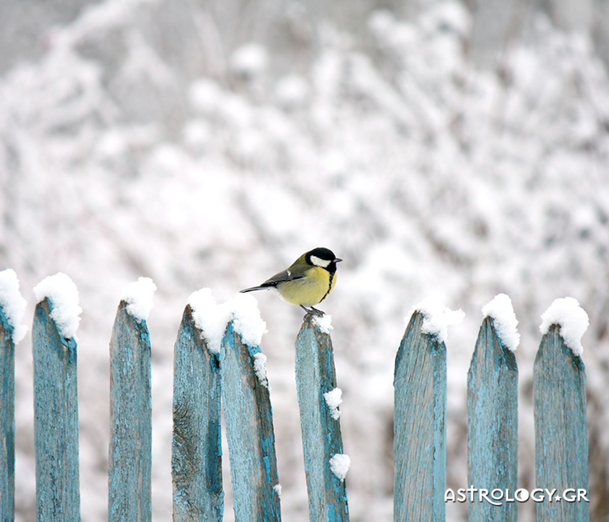 Διάβασε ΔΩΡΕΑΝ την προσωπική σου πρόβλεψη, για σήμερα 25/01/2022