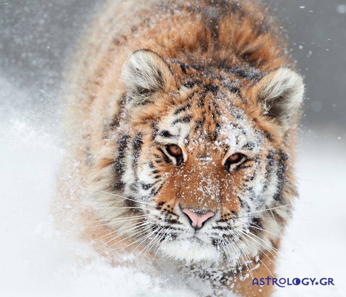 Διάβασε ΔΩΡΕΑΝ την προσωπική σου πρόβλεψη, για σήμερα 27/01/2022