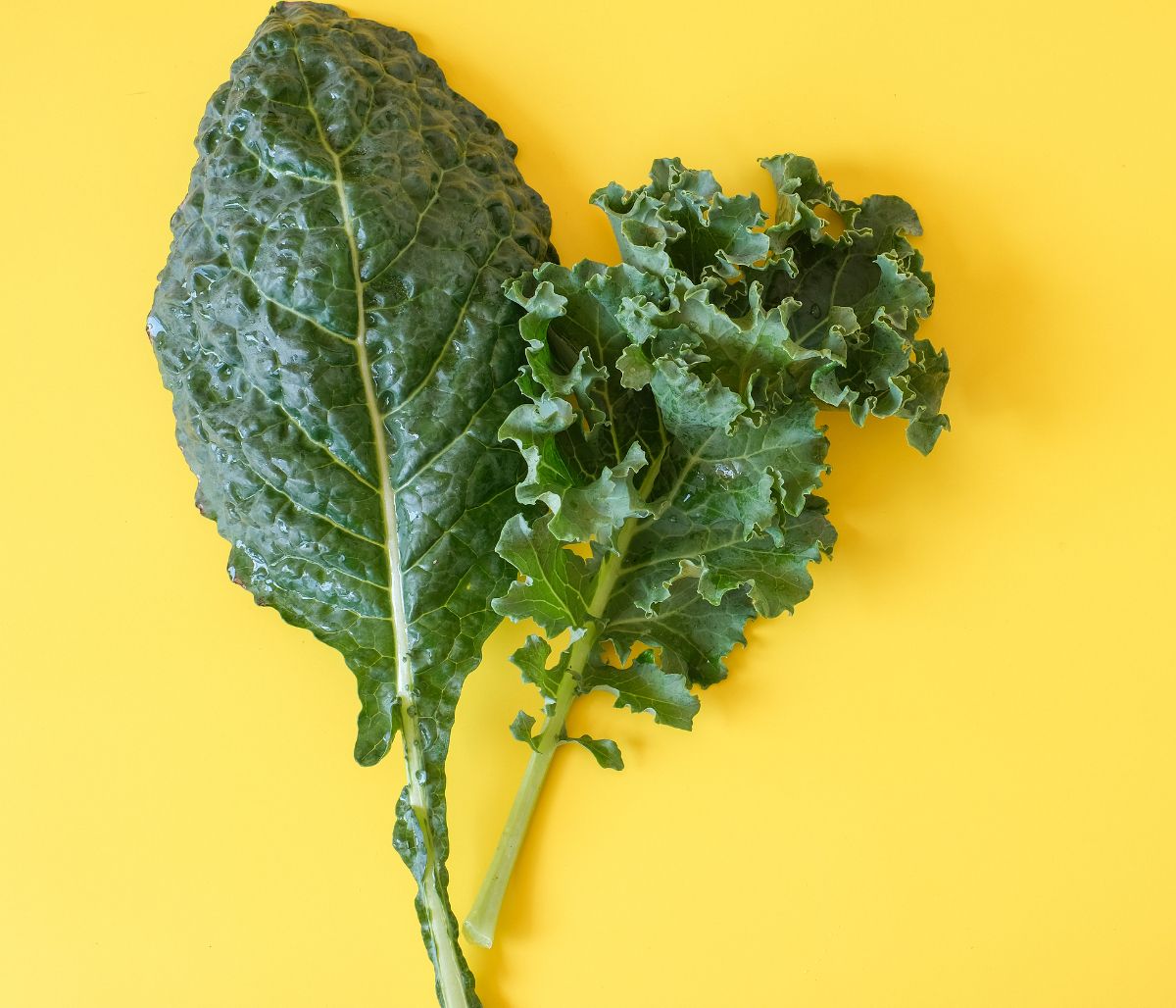 9 υγιεινές τροφές που μπορούν να γίνουν τοξικές για τον οργανισμό σας (video)