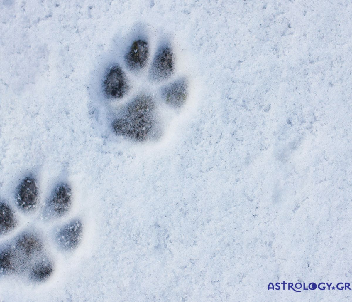 Διάβασε ΔΩΡΕΑΝ την προσωπική σου πρόβλεψη, για σήμερα 20/02/2022