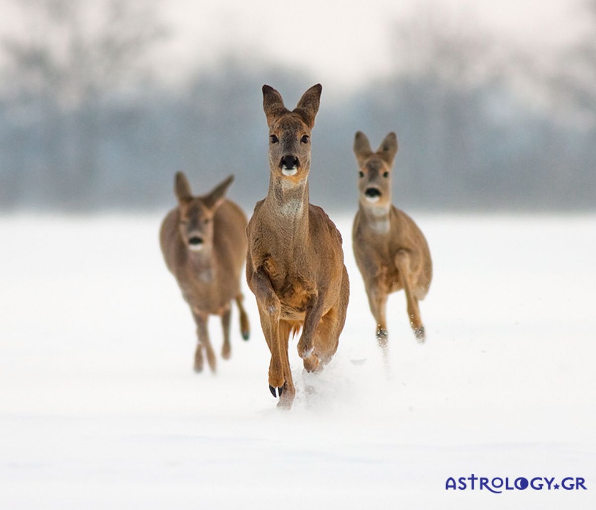 Διάβασε ΔΩΡΕΑΝ την προσωπική σου πρόβλεψη, για σήμερα 22/02/2022