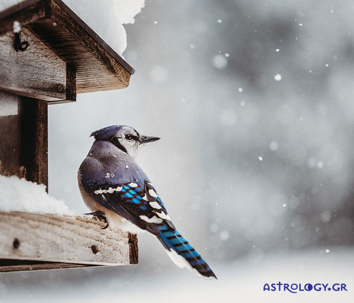 Διάβασε ΔΩΡΕΑΝ την προσωπική σου πρόβλεψη, για σήμερα 24/02/2022