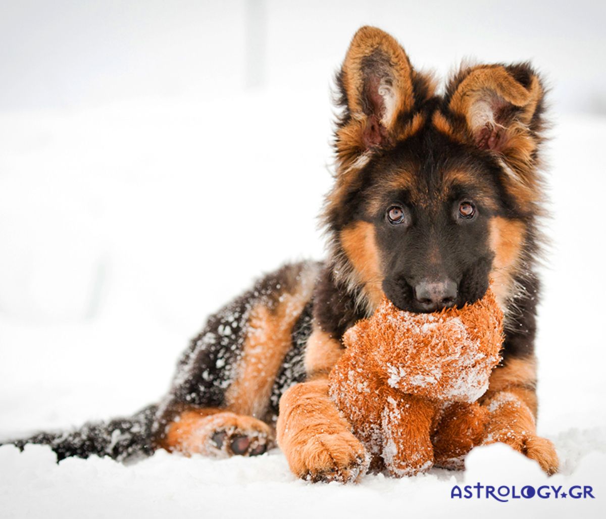 Διάβασε ΔΩΡΕΑΝ την προσωπική σου πρόβλεψη, για σήμερα 25/02/2022