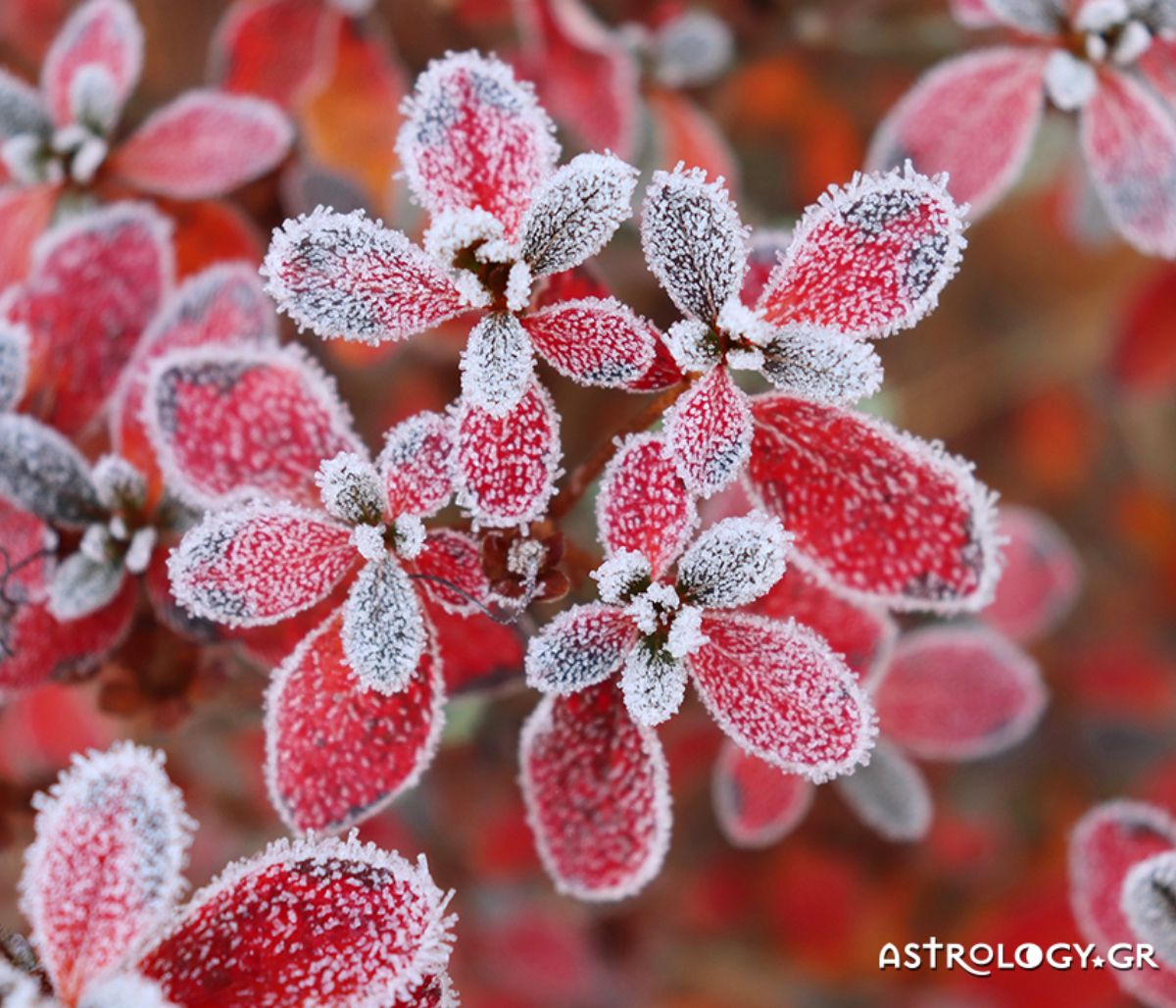 Διάβασε ΔΩΡΕΑΝ την προσωπική σου πρόβλεψη, για σήμερα 26/02/2022