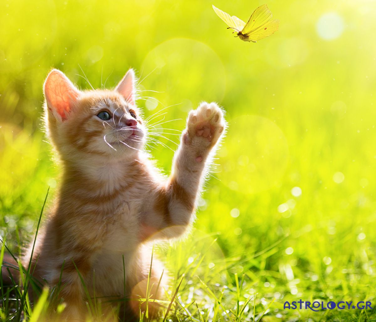 Διάβασε ΔΩΡΕΑΝ την προσωπική σου πρόβλεψη, για σήμερα 08/03/2022