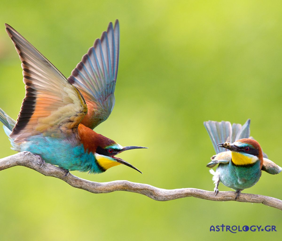 Διάβασε ΔΩΡΕΑΝ την προσωπική σου πρόβλεψη, για σήμερα 12/03/2022