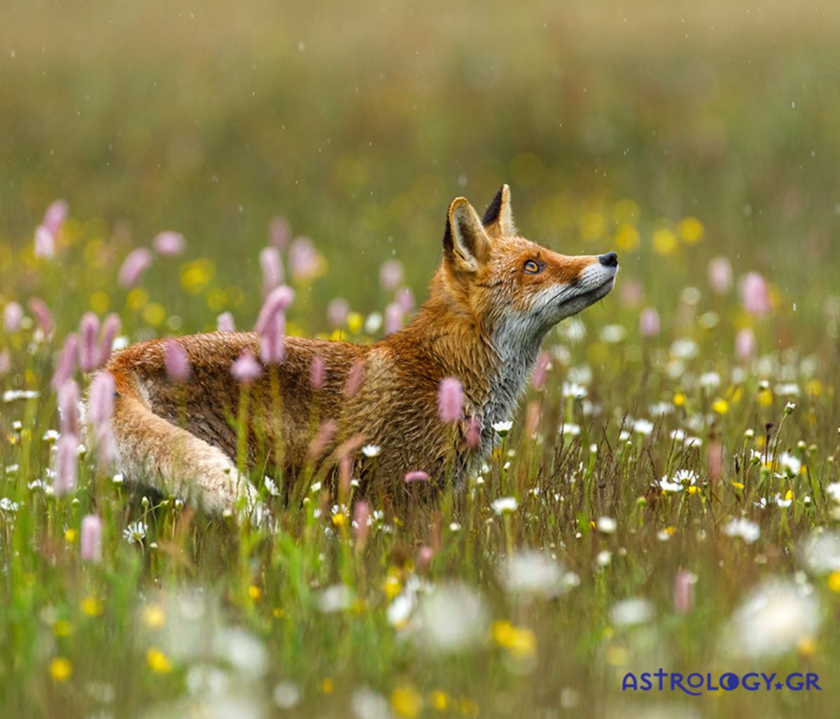 Διάβασε ΔΩΡΕΑΝ την προσωπική σου πρόβλεψη, για σήμερα 18/03/2022