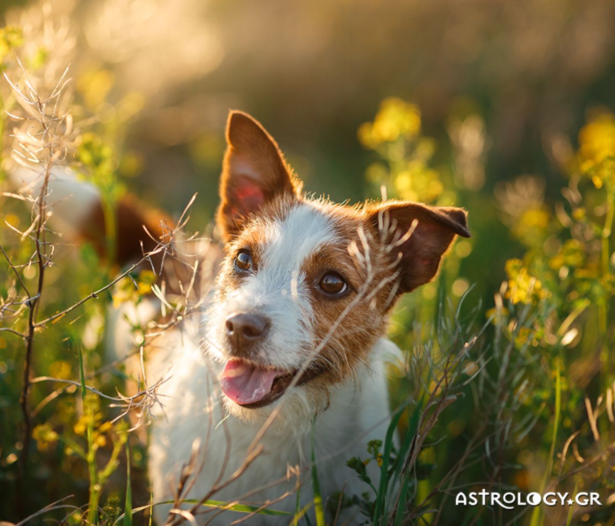 Διάβασε ΔΩΡΕΑΝ την προσωπική σου πρόβλεψη, για σήμερα 16/03/2022
