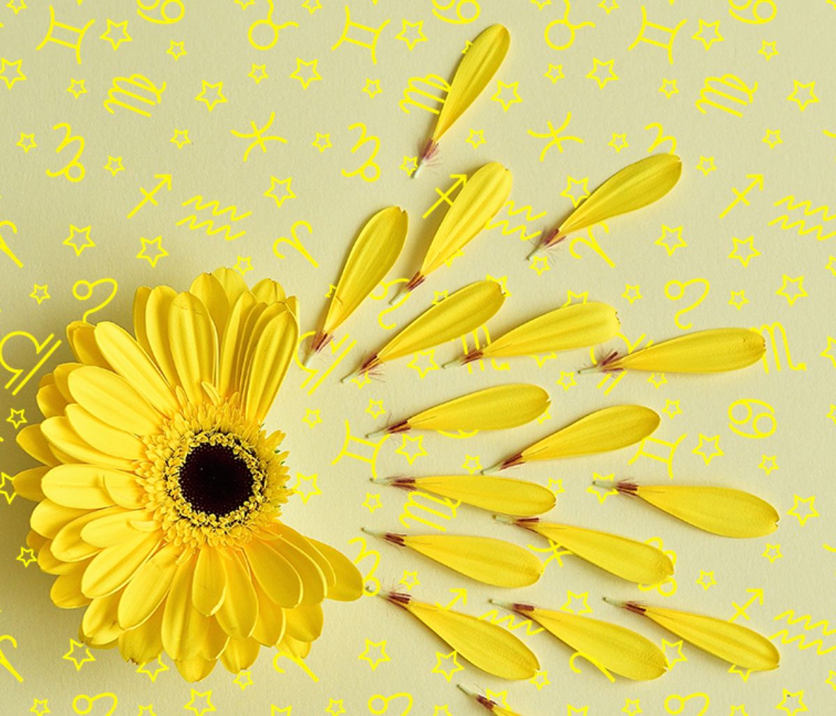 Εβδομαδιαίες προβλέψεις από 13/03 έως 19/03: Η μεγάλη πλάνη