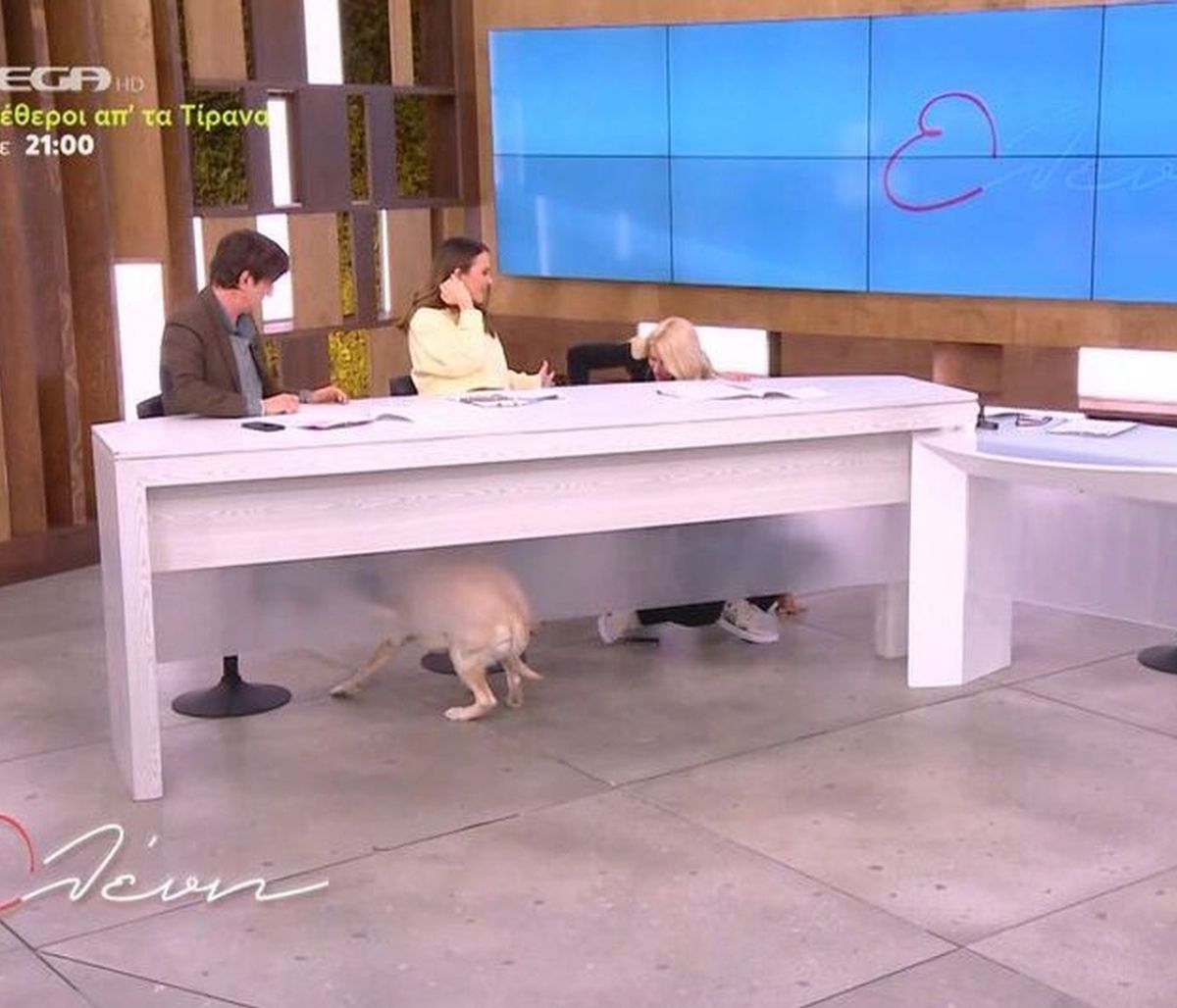 Η αποκάλυψη του Ουγγαρέζου on air – «Σκίστηκε το παντελόνι μου» και η Μενεγάκη τον έριξε κάτω!