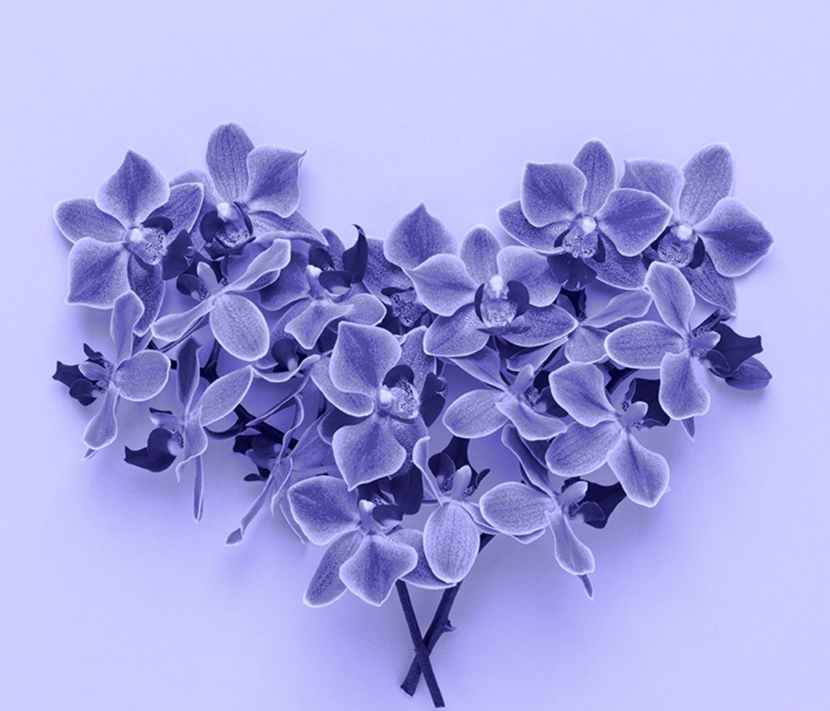 Προβλέψεις για τα αισθηματικά του ζωδίου σου, σήμερα 15/03