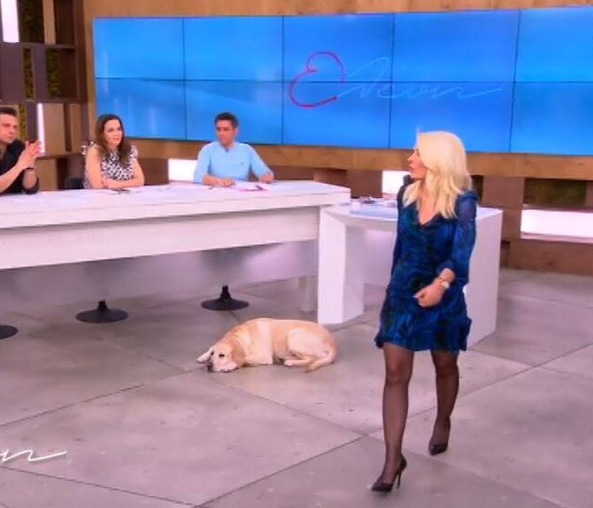 Ελένη, περπατάς και τρίζουν τα πατώματα - Απίστευτο στιγμιότυπο  on air