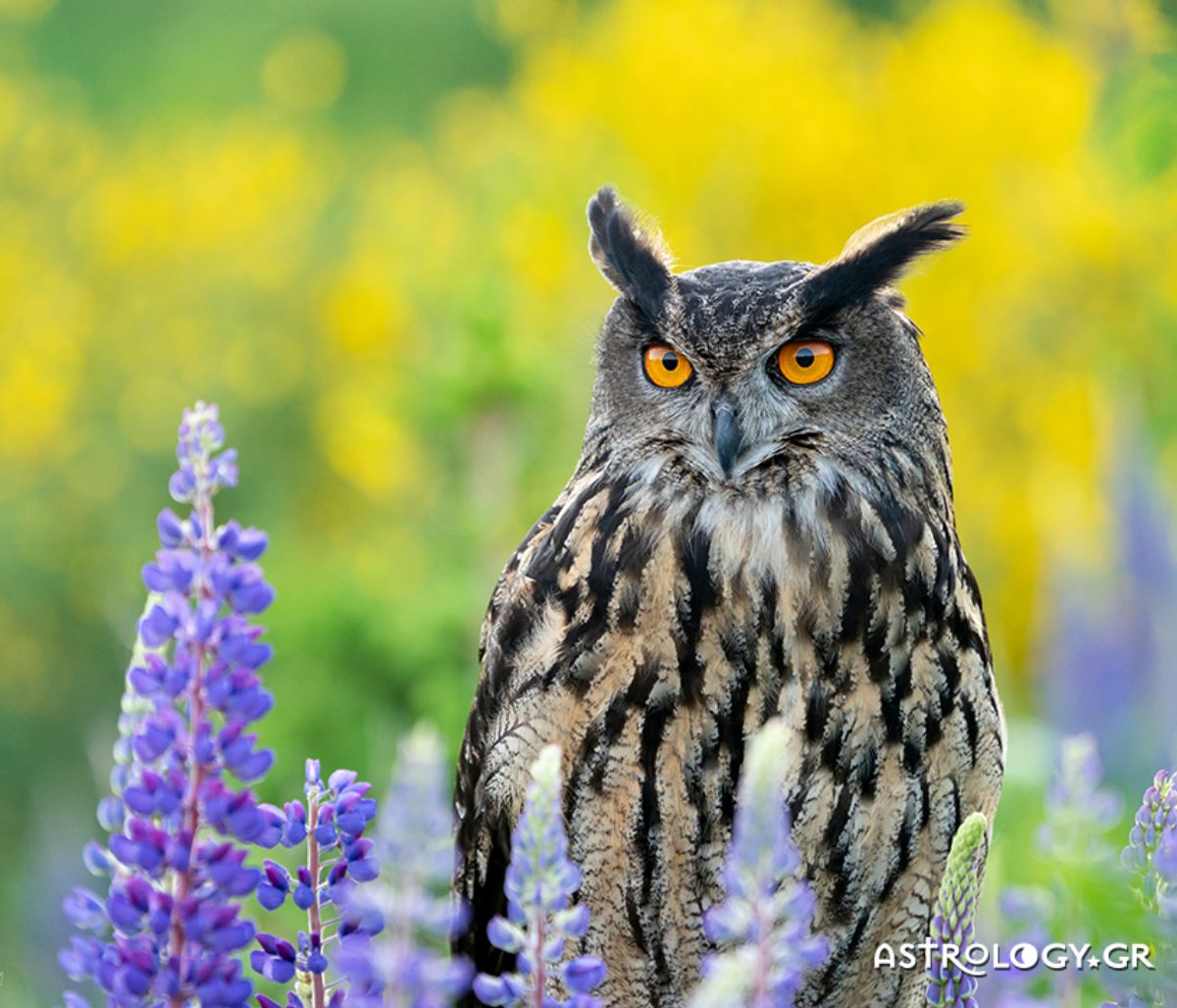 Διάβασε ΔΩΡΕΑΝ την προσωπική σου πρόβλεψη, για σήμερα 27/03/2022