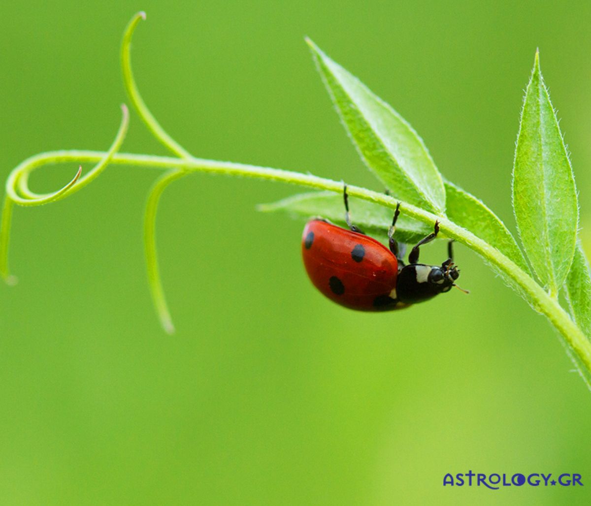 Διάβασε ΔΩΡΕΑΝ την προσωπική σου πρόβλεψη, για σήμερα 30/03/2022