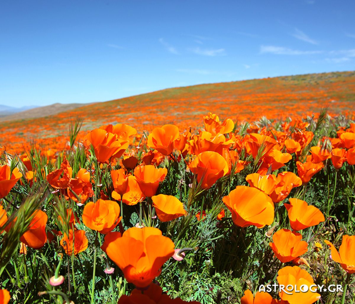 Διάβασε ΔΩΡΕΑΝ την προσωπική σου πρόβλεψη, για σήμερα 05/04/2022