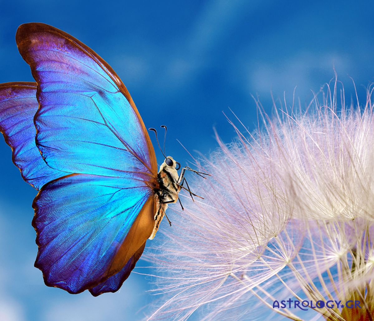 Διάβασε ΔΩΡΕΑΝ την προσωπική σου πρόβλεψη, για σήμερα 06/04/2022