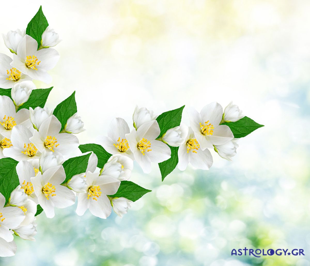 Διάβασε ΔΩΡΕΑΝ την προσωπική σου πρόβλεψη, για σήμερα 07/04/2022