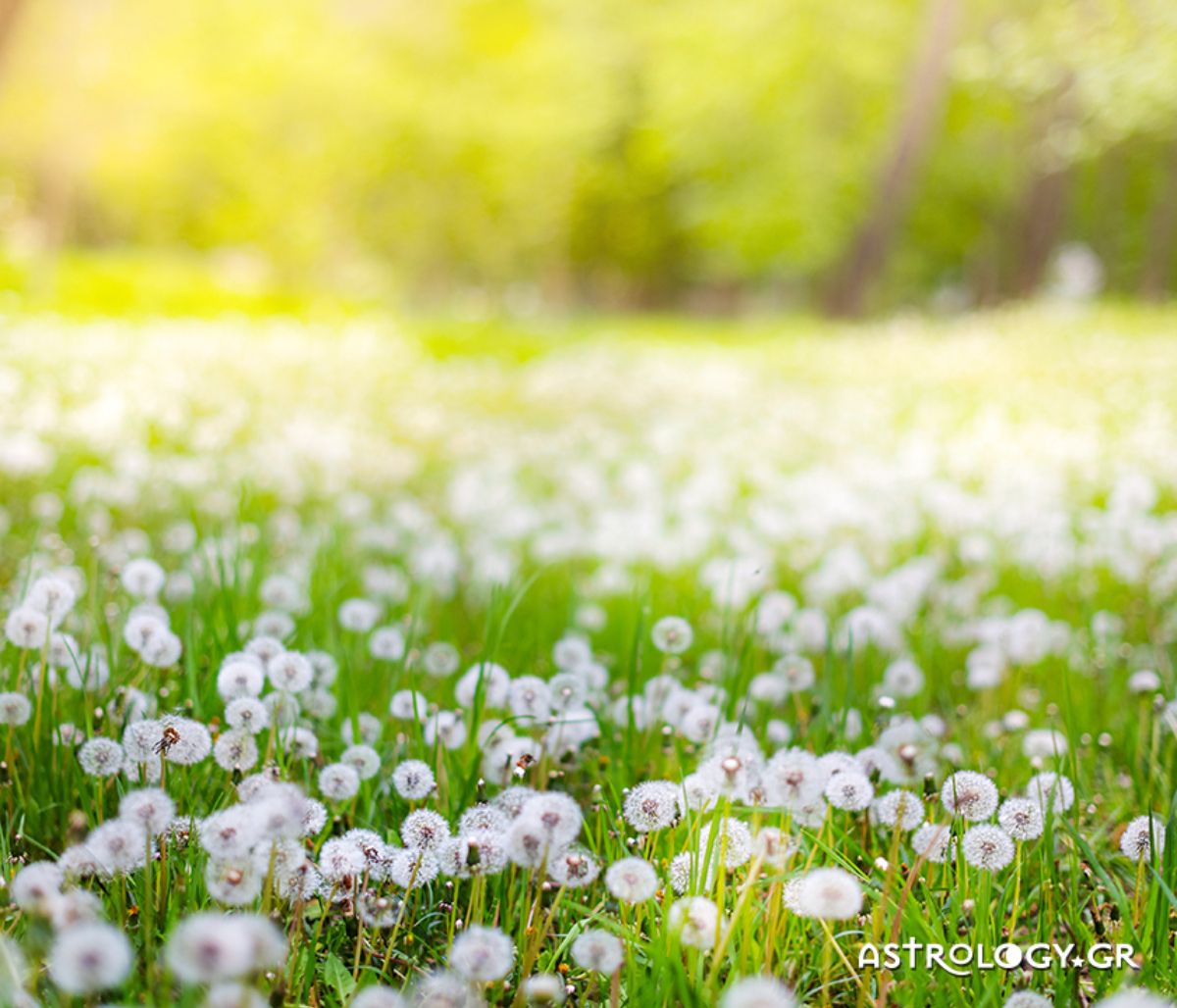 Διάβασε ΔΩΡΕΑΝ την προσωπική σου πρόβλεψη, για σήμερα 09/04/2022