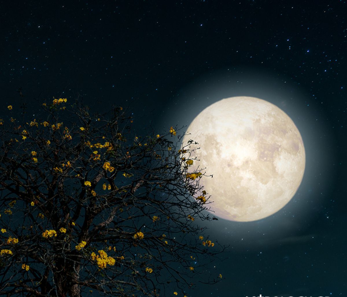 Ροζ Πανσέληνος στον Ζυγό: Αυτά τα ζώδια καλούνται να ξεκινήσουν από το μηδέν