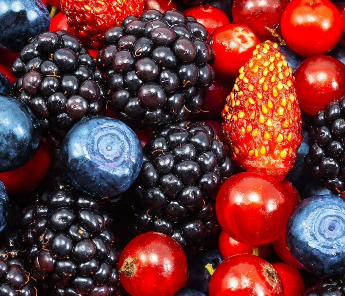 Μακροζωία: Τα μούρα μπορούν να βοηθήσουν να ζήσουμε περισσότερο