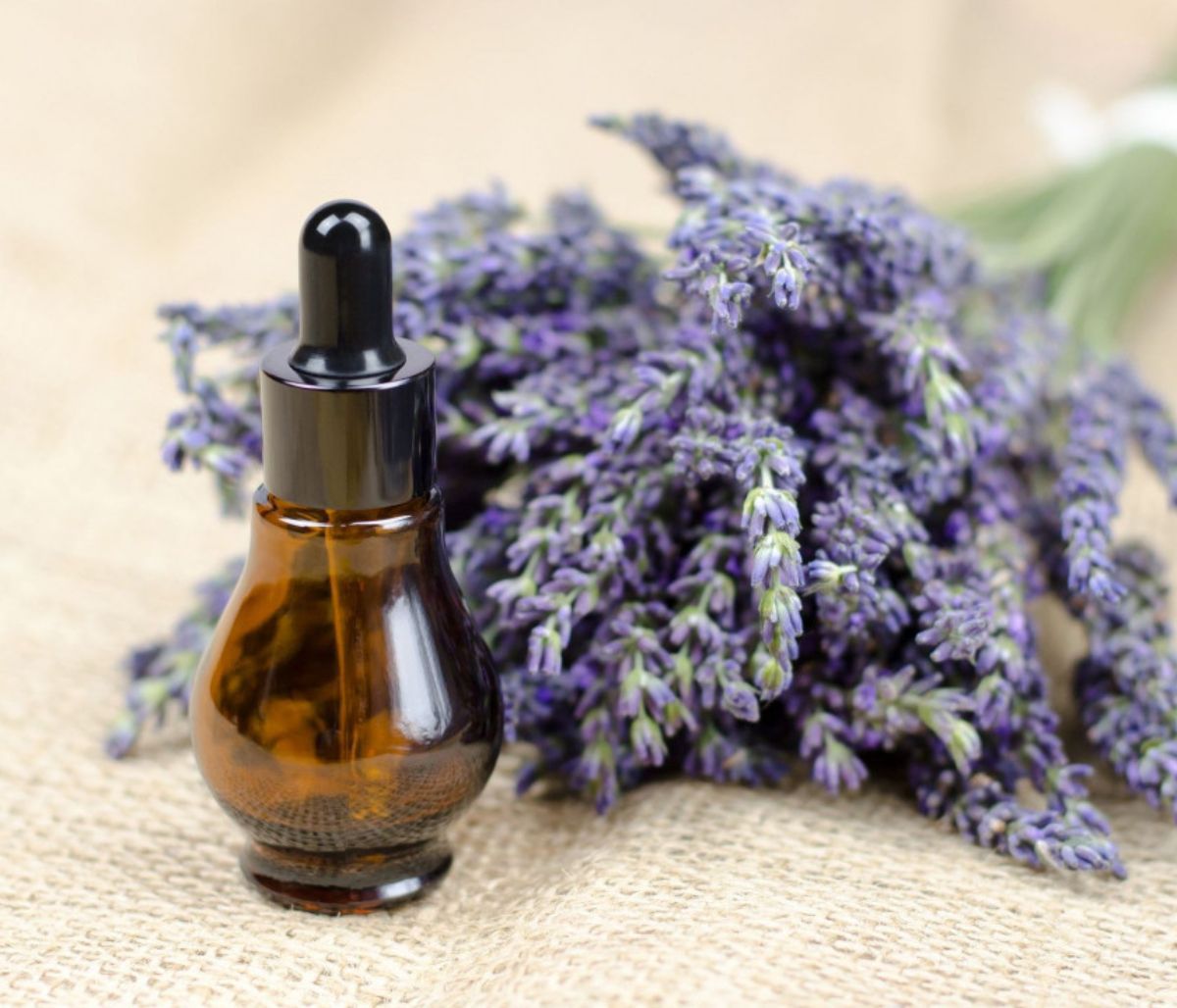 Αιθέριο έλαιο λεβάντας: Χρήσεις και οφέλη για την υγεία (video)