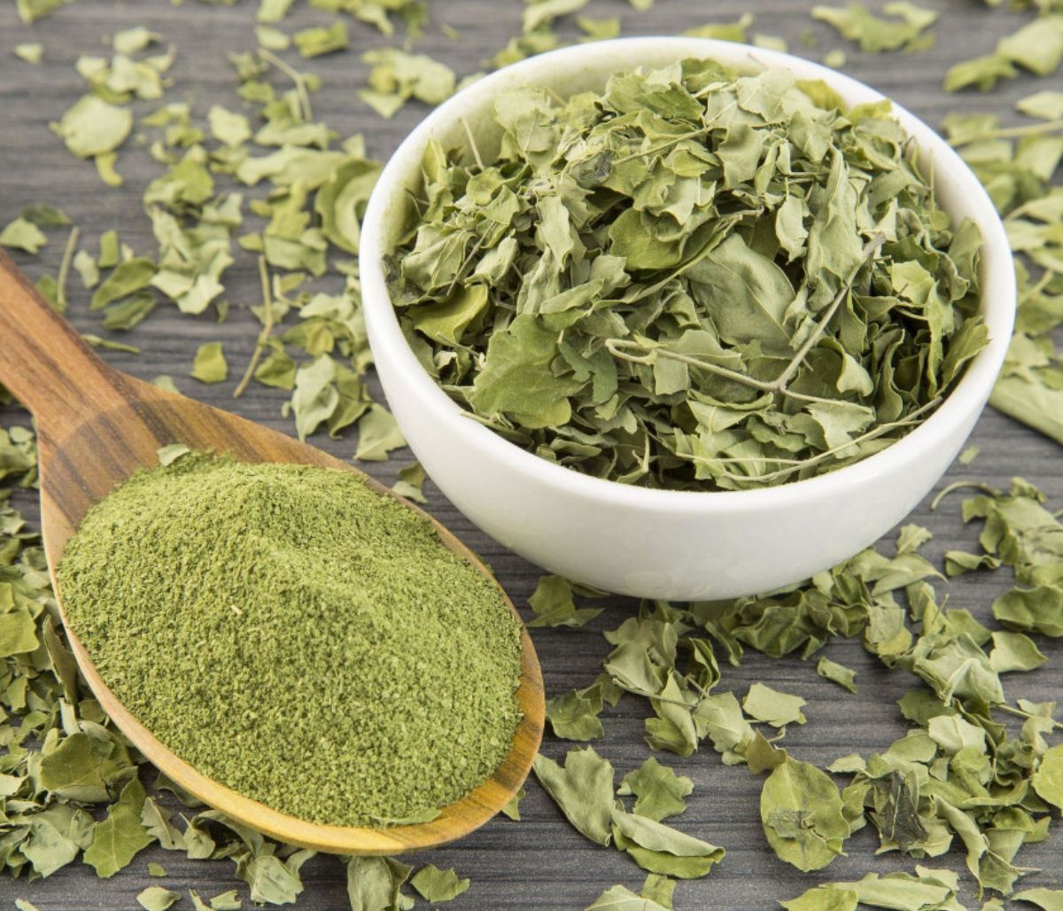 Moringa: Όσα πρέπει να γνωρίζετε για τις ιδιότητες του νέου superfood (video)