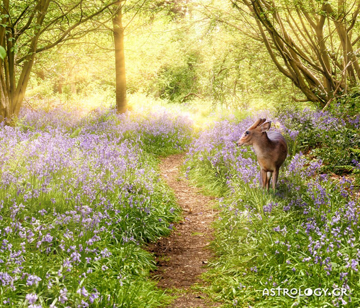 Διάβασε ΔΩΡΕΑΝ την προσωπική σου πρόβλεψη, για σήμερα 29/04/2022