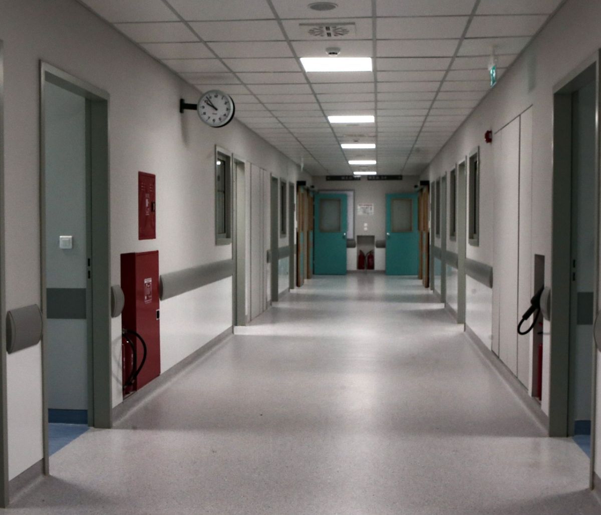 Συναγερμός στην Πάτρα: Τέσσερις νεκροί από τον φονικό μύκητα Candida Auris