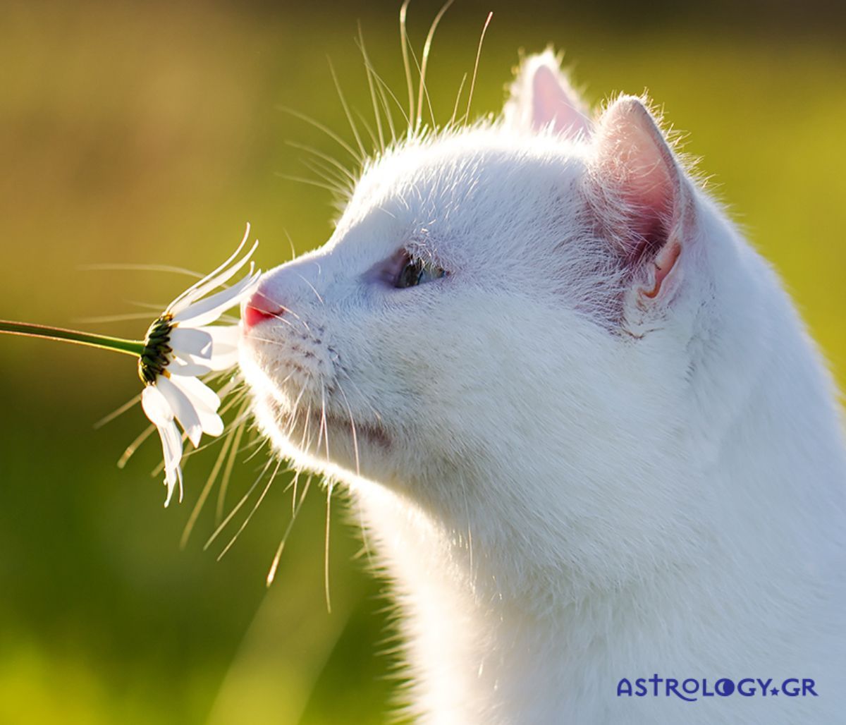Διάβασε ΔΩΡΕΑΝ την προσωπική σου πρόβλεψη, για σήμερα 01/06/2022
