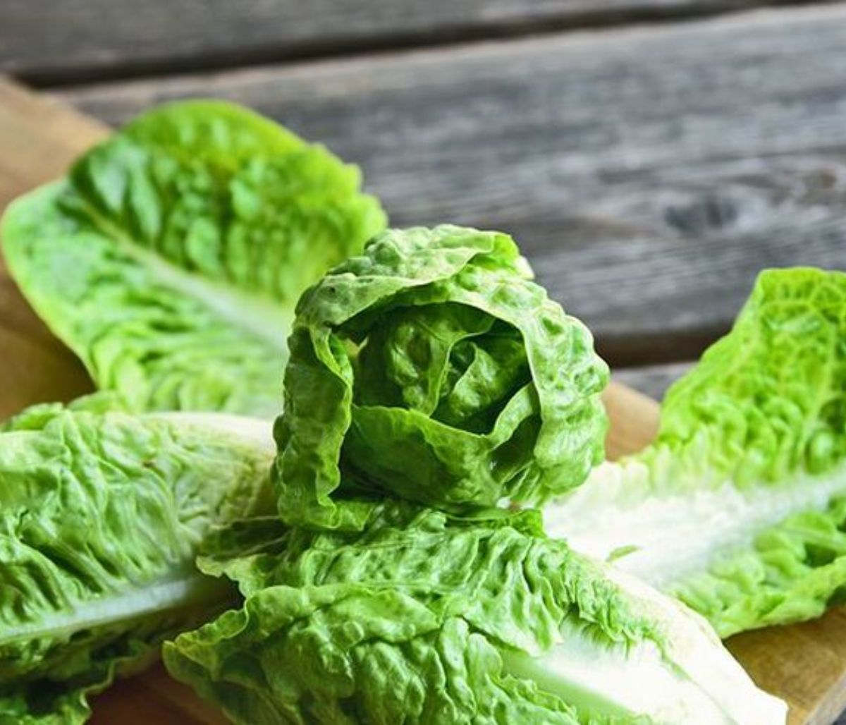 Μαρούλι: Τα οφέλη για την υγεία και οι τρόποι αποθήκευσής του