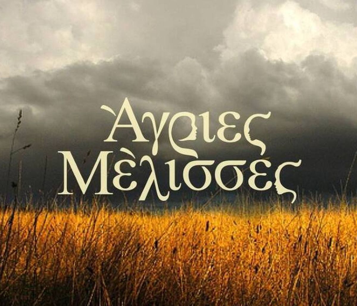 Άγριες Μέλισσες: Αυτός ο ήρωας τρόλαρε όλες τις σκηνές! «Είναι αδιανόητο σούργελο...»