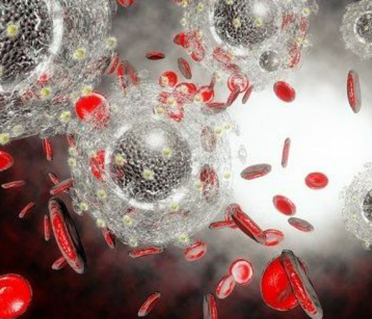 Eρευνητές εντοπίζουν πώς θανατηφόρος μύκητας αναπτύσσει αντοχή στα φάρμακα - μελέτη