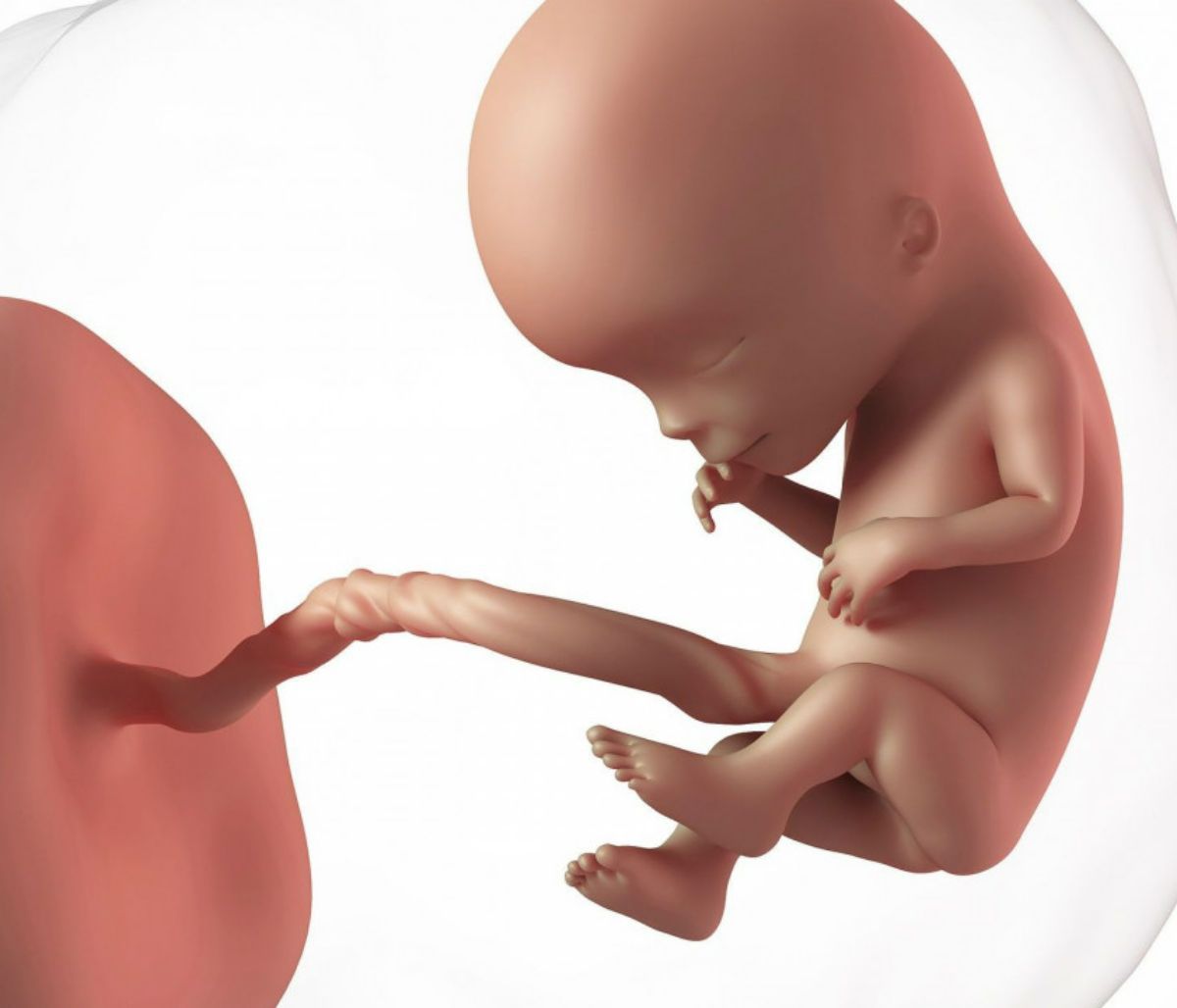 Εγκυμοσύνη: Ανακαλύφθηκε μηχανισμός έγκαιρης διάγνωσης γενετικών ανωμαλιών μέσω τεχνητής νοημοσύνης