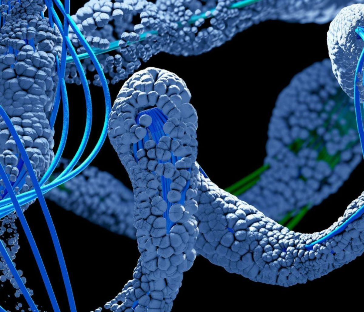 Ανακαλύφθηκε το μόριο «κλειδί» για τη θεραπεία του καρκίνου