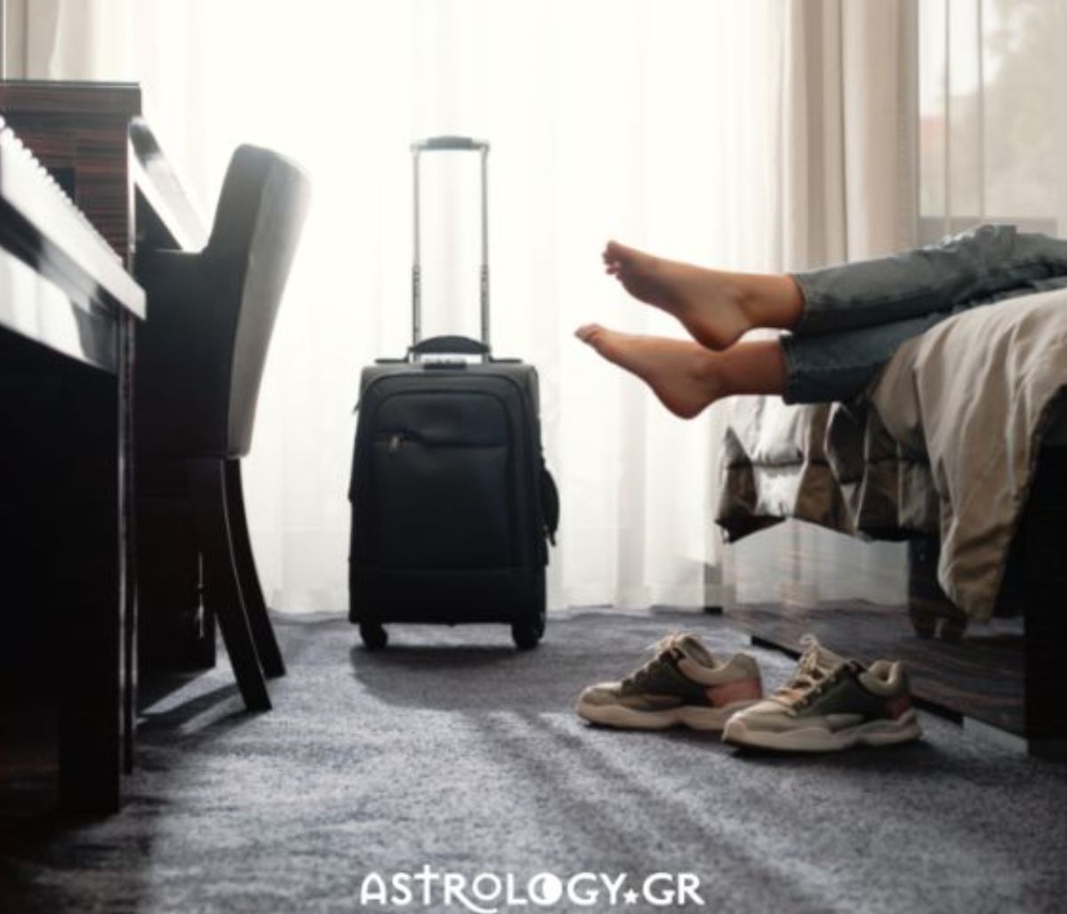 Τα ζώδια που ξαφρίζουν τα πάντα από τα δωμάτια των ξενοδοχείων
