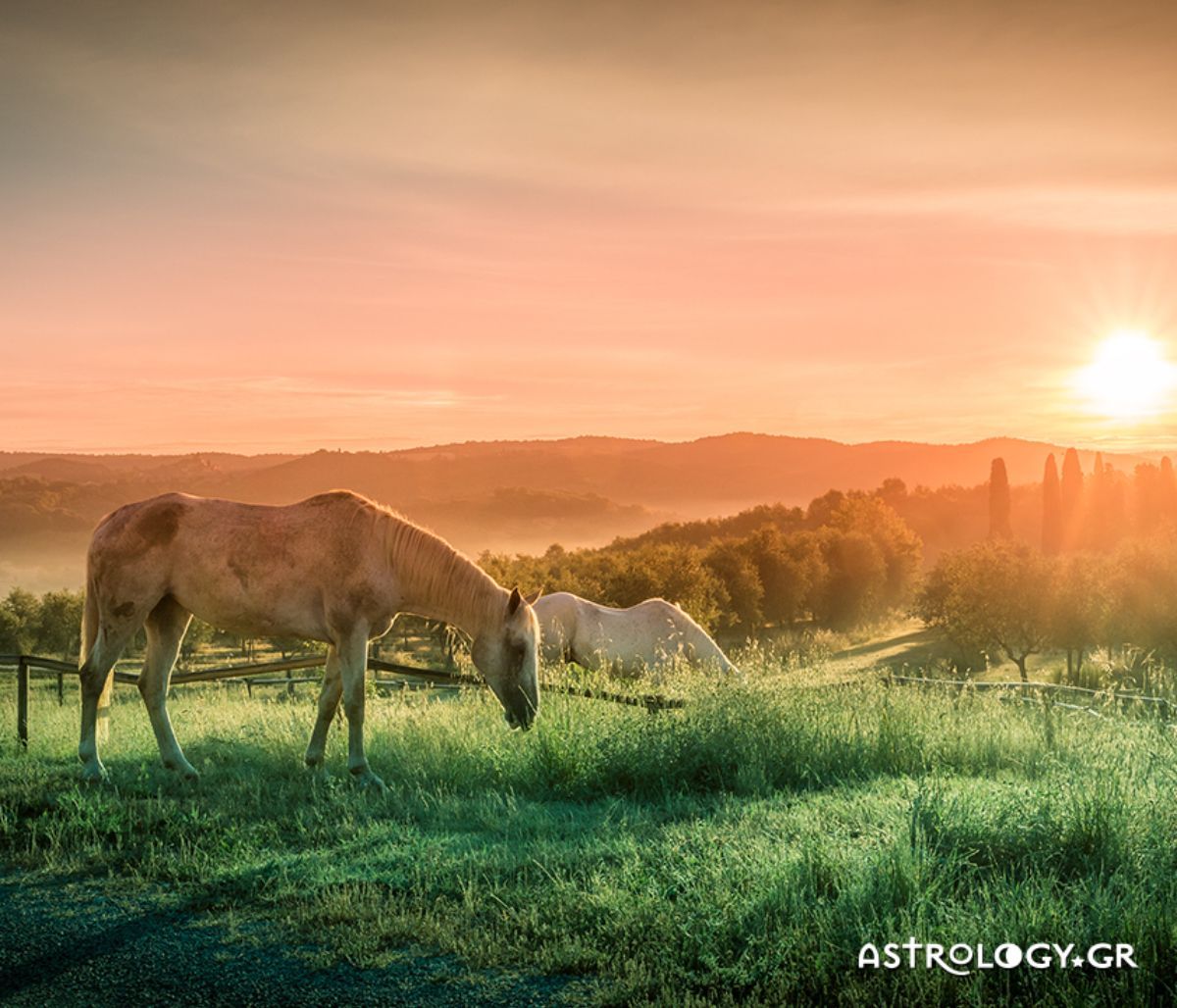 Διάβασε ΔΩΡΕΑΝ την προσωπική σου πρόβλεψη, για σήμερα 23/08/2022