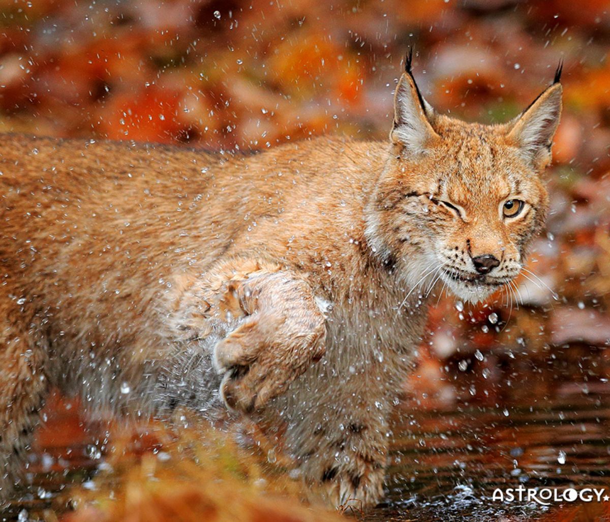 Διάβασε ΔΩΡΕΑΝ την προσωπική σου πρόβλεψη, για σήμερα 21/09/2022