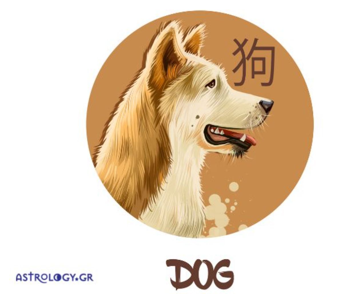 Έτσι είναι ο Σκύλος στα αισθηματικά του σύμφωνα με την Κινέζικη Αστρολογία