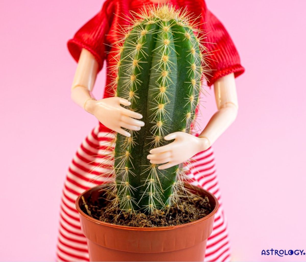 Τα τέσσερα ζώδια που εξιδανικεύουν τις τοξικές τους σχέσεις