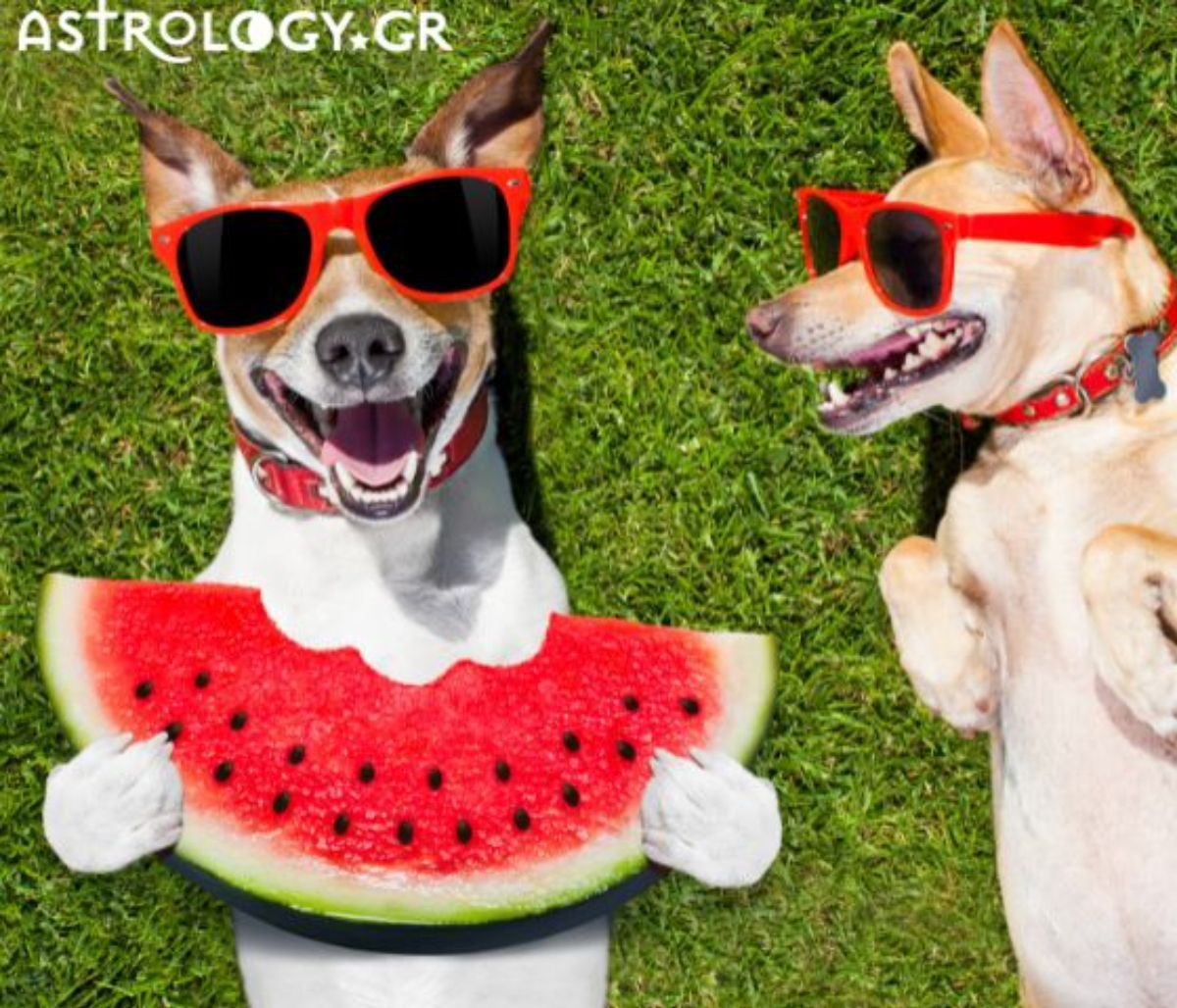 Αυτά είναι τα ζώδια που δε ζηλεύουν τίποτα και κανέναν