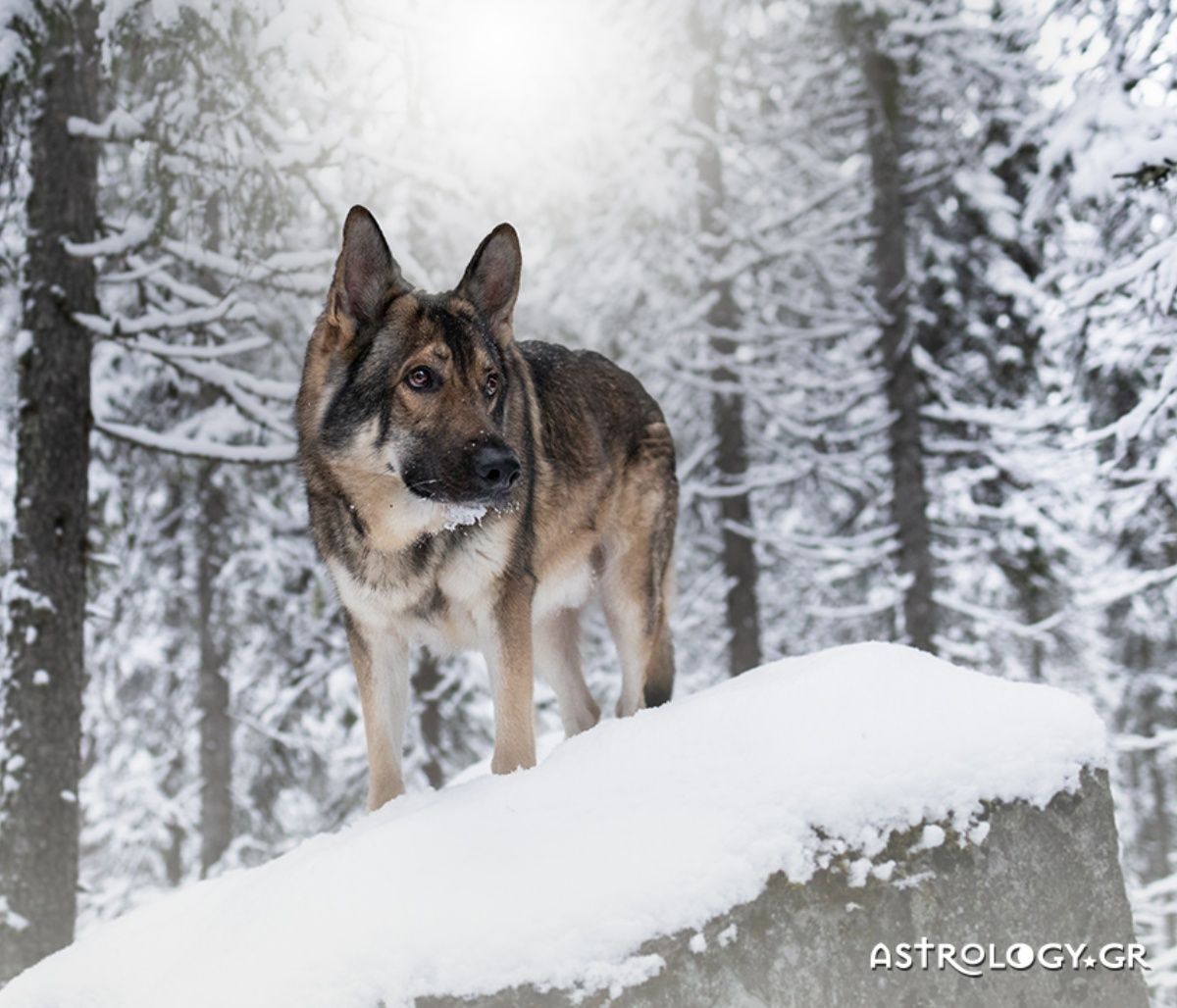 Διάβασε ΔΩΡΕΑΝ την προσωπική σου πρόβλεψη, για σήμερα 27/12/2022
