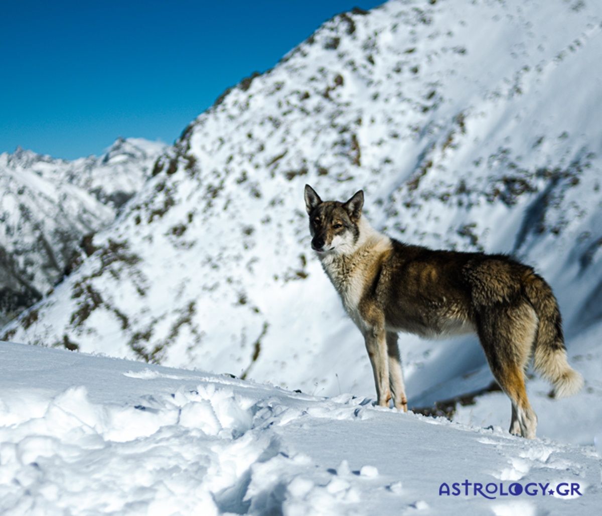 Διάβασε ΔΩΡΕΑΝ την προσωπική σου πρόβλεψη, για σήμερα 29/12/2022