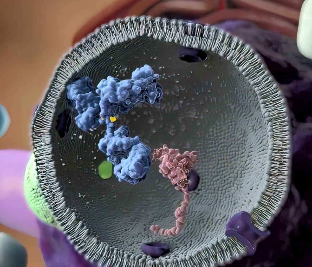 Πώς μπορούμε να μειώσουμε τον κίνδυνο εμφάνισης καρκίνου;